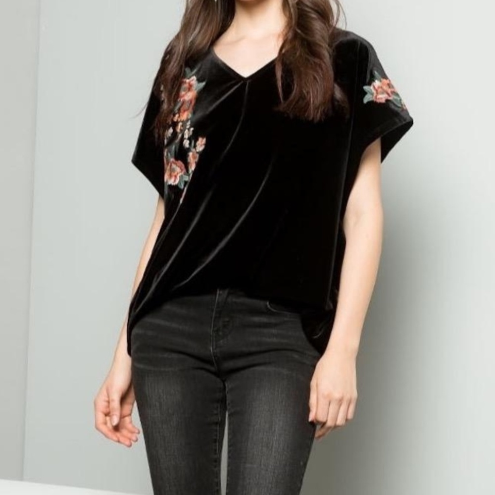 THML new with tags Velvet top